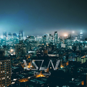 大几巴插骚逼视频
